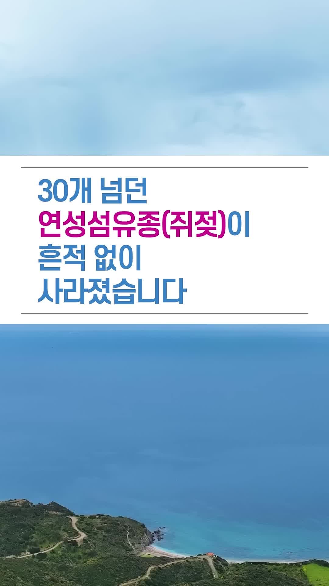 30개 넘던 쥐젖(연성섬유종)이 흔적 없이 사라졌습니다